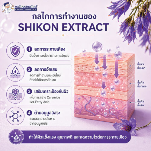 OLI-2201L (Shikon Extract) มหัศจรรย์สารสกัด "ชิคอน" พลังการฟื้นฟูผิวจากธรรมชาติ เพื่อผิวเนียนใส ไกลสิว และอาการแพ้ - Image 6