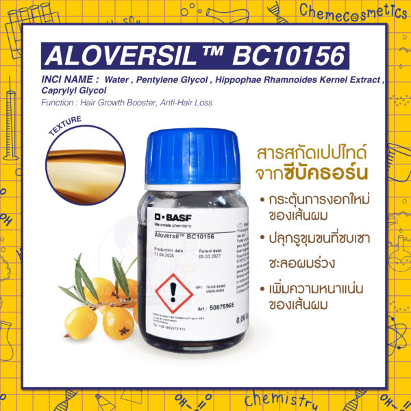 Aloversil BC10156 (Hippophae Rhamnoides Kernel Extract) สารสกัดเปปไทด์จากซีบัคธอร์น เพื่อกระตุ้นการงอกใหม่ของเส้นผม ปลุกรูขุมขนที่ซบเซา ชะลอผมร่วง เพิ่มความหนาแน่นของเส้นผม