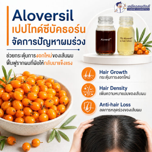 Alternative view of Aloversil BC10156 (Hippophae Rhamnoides Kernel Extract) สารสกัดเปปไทด์จากซีบัคธอร์น เพื่อกระตุ้นการงอกใหม่ของเส้นผม ปลุกรูขุมขนที่ซบเซา ชะลอผมร่วง เพิ่มความหนาแน่นของเส้นผม
