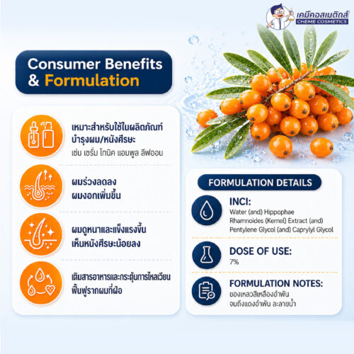 Aloversil BC10156 (Hippophae Rhamnoides Kernel Extract) สารสกัดเปปไทด์จากซีบัคธอร์น เพื่อกระตุ้นการงอกใหม่ของเส้นผม ปลุกรูขุมขนที่ซบเซา ชะลอผมร่วง เพิ่มความหนาแน่นของเส้นผม - Image 3