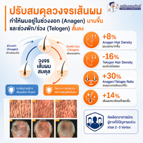 Aloversil BC10156 (Hippophae Rhamnoides Kernel Extract) สารสกัดเปปไทด์จากซีบัคธอร์น เพื่อกระตุ้นการงอกใหม่ของเส้นผม ปลุกรูขุมขนที่ซบเซา ชะลอผมร่วง เพิ่มความหนาแน่นของเส้นผม - Image 6