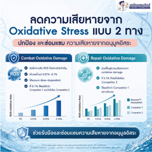 Biomeet MarineDNA (PDRN) DNA แซลมอนบริสุทธิ์ กระตุ้นการฟื้นฟูผิวระดับเซลล์ ต่อต้านริ้วรอยแบบ Self-Healing - Image 4