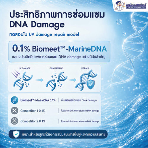 Biomeet MarineDNA (PDRN) DNA แซลมอนบริสุทธิ์ กระตุ้นการฟื้นฟูผิวระดับเซลล์ ต่อต้านริ้วรอยแบบ Self-Healing - Image 5