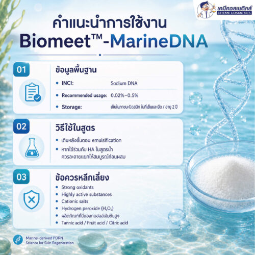 Biomeet MarineDNA (PDRN) DNA แซลมอนบริสุทธิ์ กระตุ้นการฟื้นฟูผิวระดับเซลล์ ต่อต้านริ้วรอยแบบ Self-Healing - Image 8