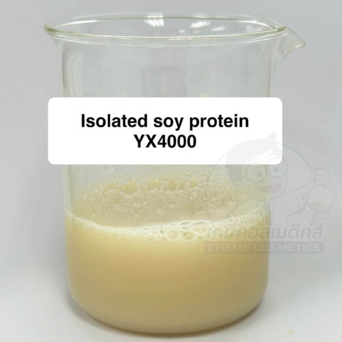Isolated Soy Protein YX4000 (โปรตีนถั่วเหลืองสกัด YX4000) โปรตีนพืชคุณภาพสูงสำหรับอาหารและผลิตภัณฑ์เสริมอาหาร - Image 4