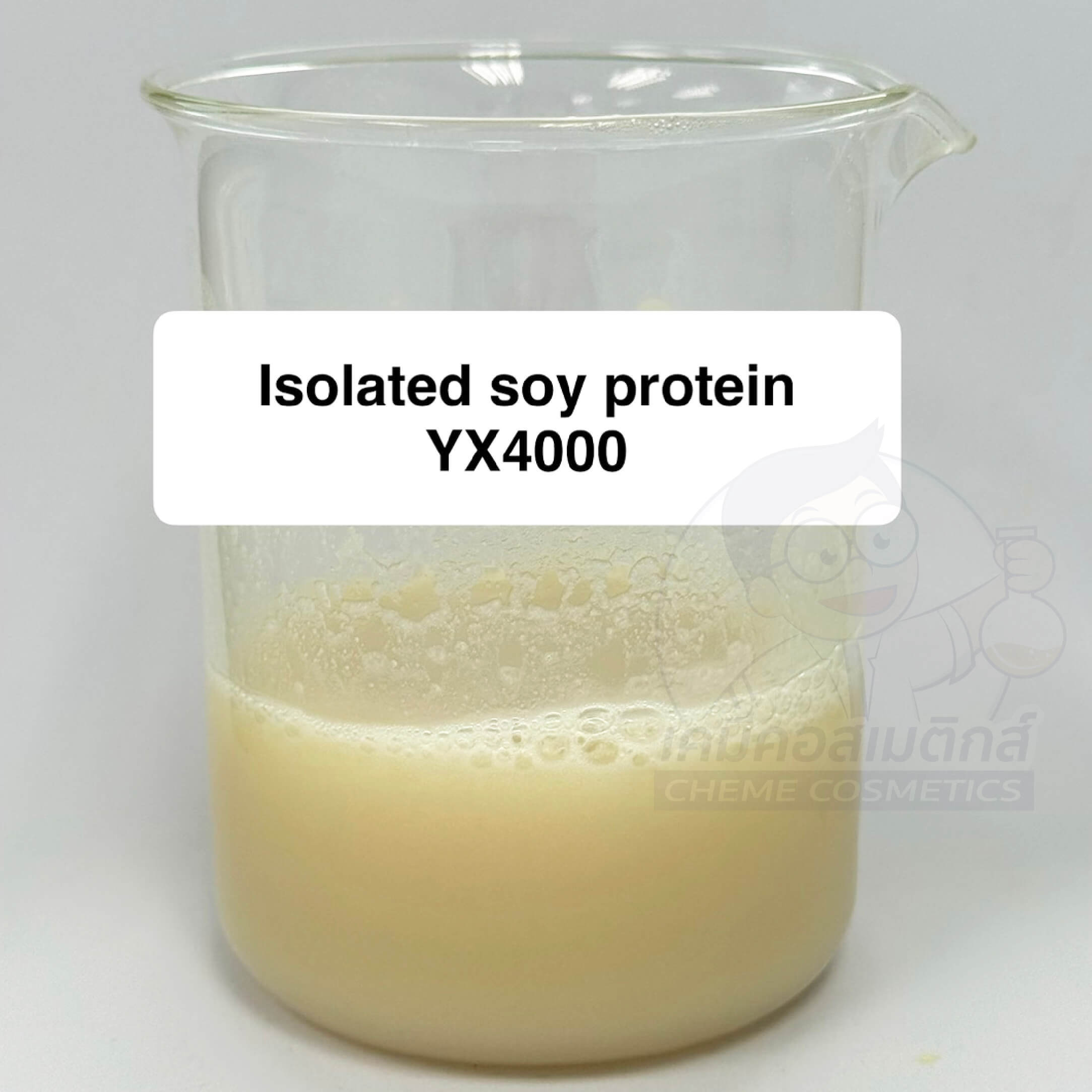 Isolated Soy Protein YX4000 (โปรตีนถั่วเหลืองสกัด YX4000) โปรตีนพืชคุณภาพสูงสำหรับอาหารและผลิตภัณฑ์เสริมอาหาร - Image 3