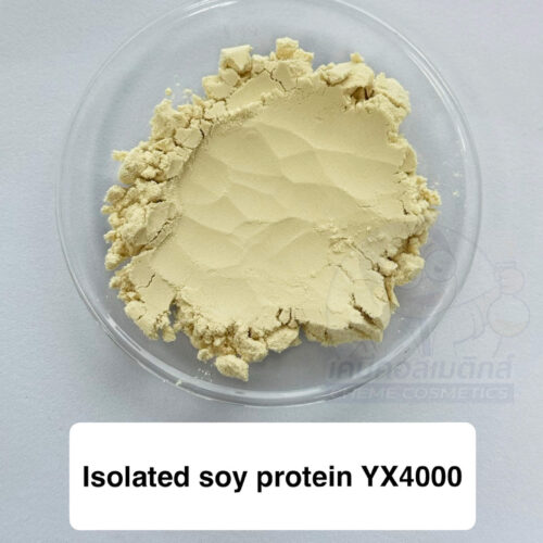 Isolated Soy Protein YX4000 (โปรตีนถั่วเหลืองสกัด YX4000) โปรตีนพืชคุณภาพสูงสำหรับอาหารและผลิตภัณฑ์เสริมอาหาร - Image 3