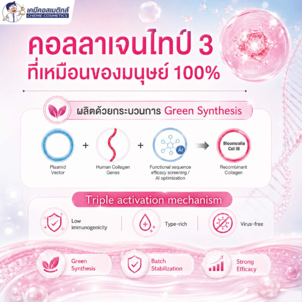Bloomcolla Col III (Collagen Type III) คอลลาเจนไทป์ 3 รีคอมบิแนนท์ ฟื้นฟูและปลอบประโลมผิวแพ้ง่าย เหมือนคอลลาเจนมนุษย์ 100% - Image 3