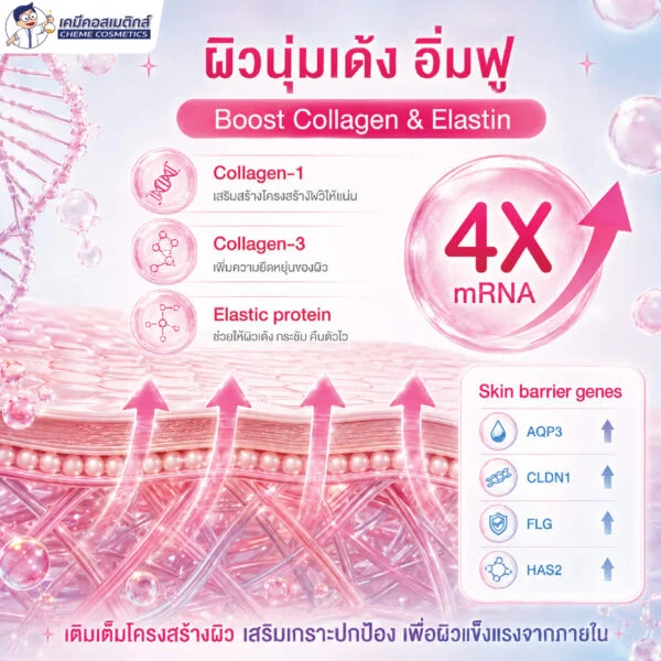 Bloomcolla Col III (Collagen Type III) คอลลาเจนไทป์ 3 รีคอมบิแนนท์ ฟื้นฟูและปลอบประโลมผิวแพ้ง่าย เหมือนคอลลาเจนมนุษย์ 100% - Image 5