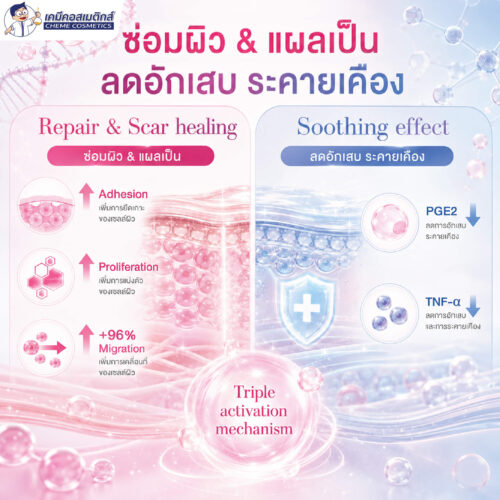 Bloomcolla Col III (Collagen Type III) คอลลาเจนไทป์ 3 รีคอมบิแนนท์ ฟื้นฟูและปลอบประโลมผิวแพ้ง่าย เหมือนคอลลาเจนมนุษย์ 100% - Image 6