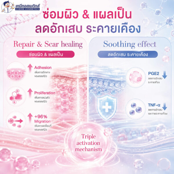 Bloomcolla Col III (Collagen Type III) คอลลาเจนไทป์ 3 รีคอมบิแนนท์ ฟื้นฟูและปลอบประโลมผิวแพ้ง่าย เหมือนคอลลาเจนมนุษย์ 100% - Image 6