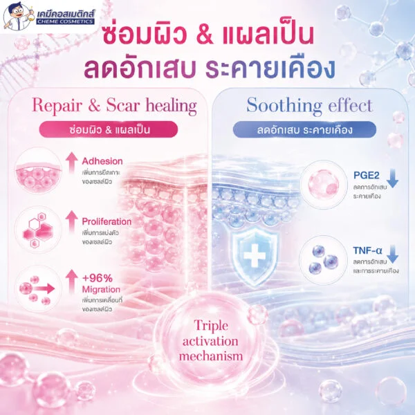 Bloomcolla Col III (Collagen Type III) คอลลาเจนไทป์ 3 รีคอมบิแนนท์ ฟื้นฟูและปลอบประโลมผิวแพ้ง่าย เหมือนคอลลาเจนมนุษย์ 100% - Image 6