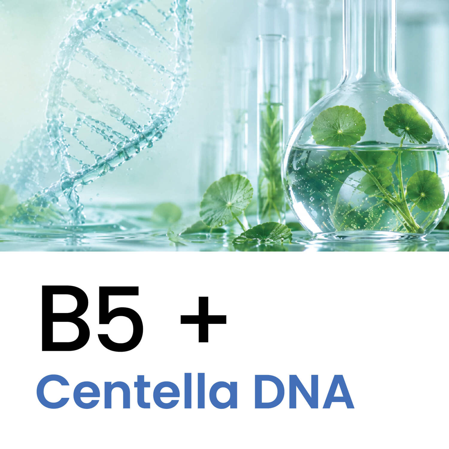 B5 + Centella DNA / PhytoDNA