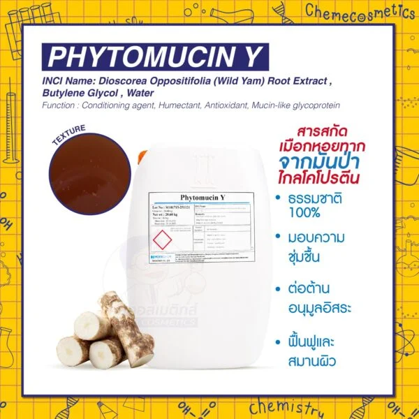 Phytomucin Y (Plant Mucin) สารสกัดเมือกหอยทากสกัดจากมันป่า/Wild Yam (Dioscorea) ไกลโคโปรตีน (glycoprotein) ธรรมชาติ 100% มอบความชุ่มชื้น ต่อต้านอนุมูลอิสระ ฟื้นฟูและสมานผิว