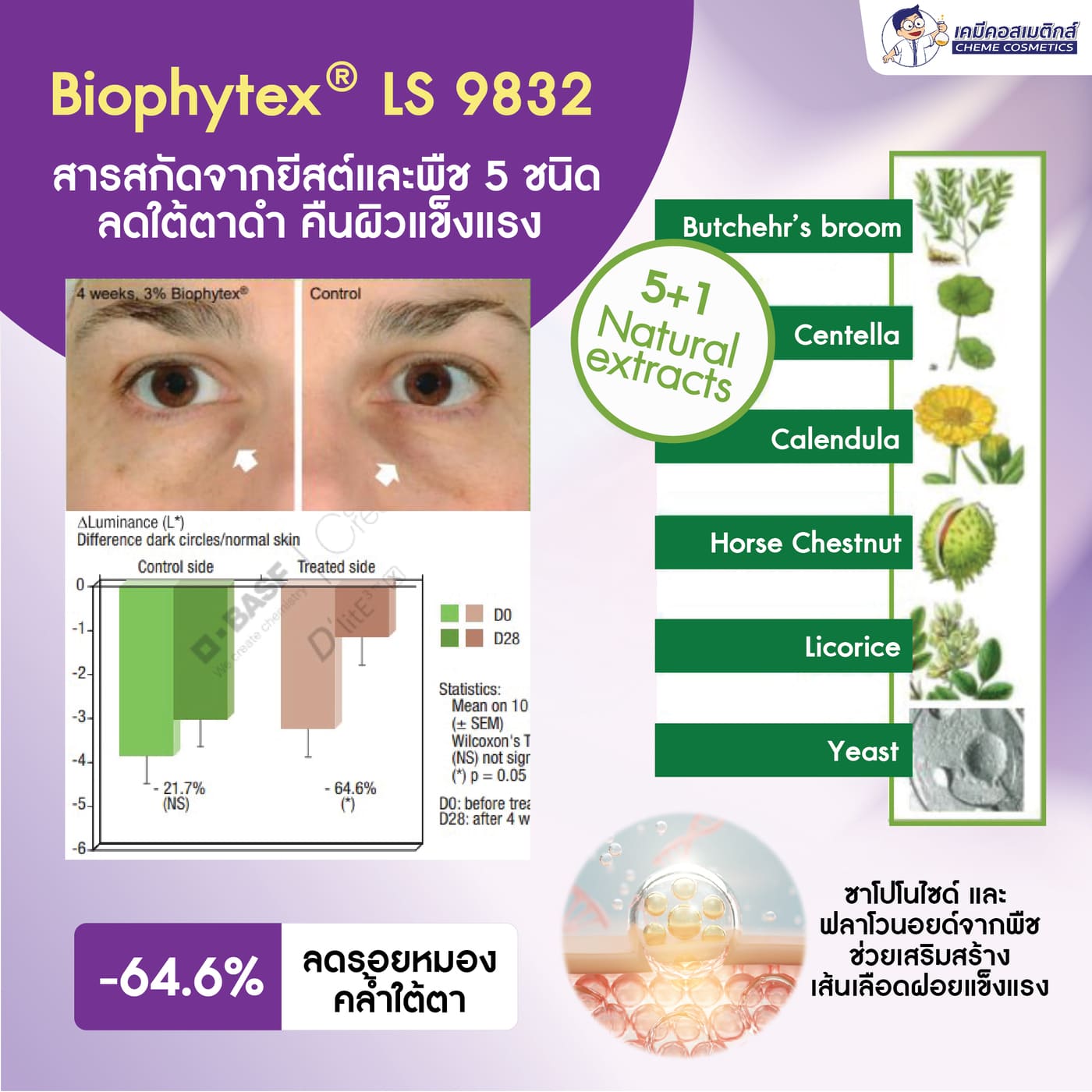 ปัญหารอยหมองคล้ำและใต้ตาดำ