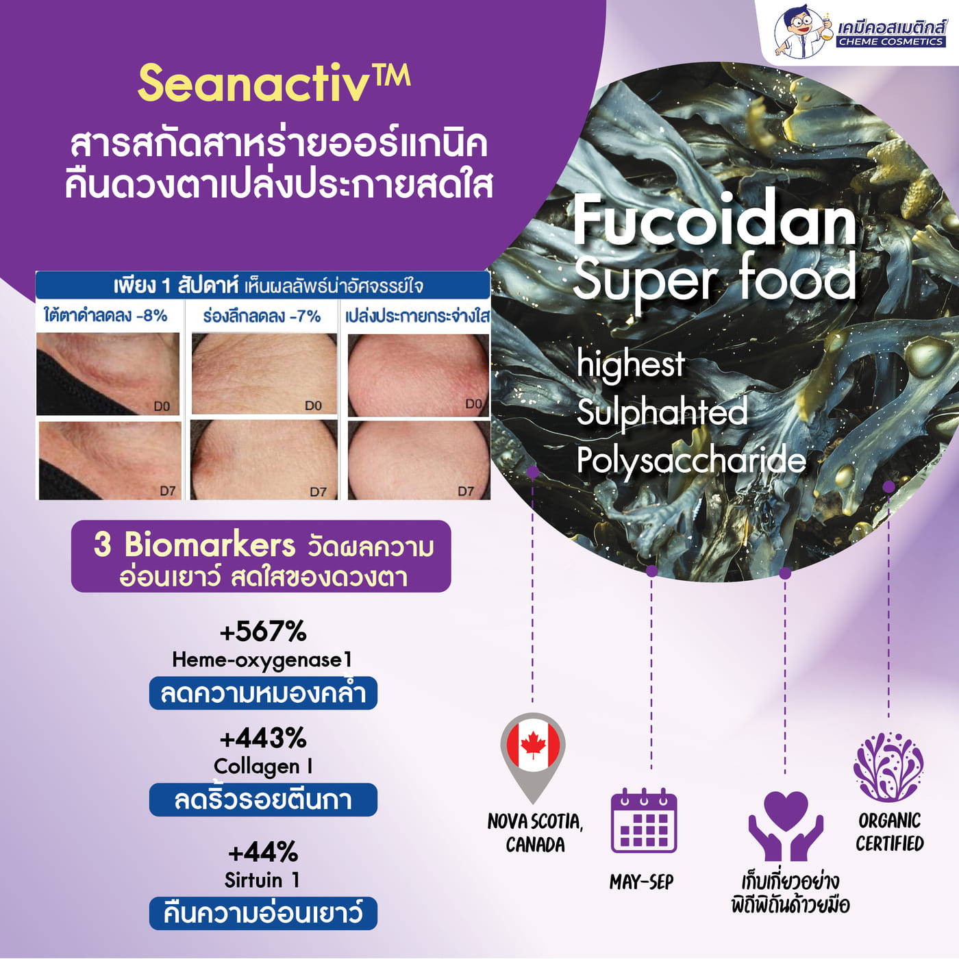 สารสำคัญจากธรรมชาติสำหรับผิวรอบดวงตา