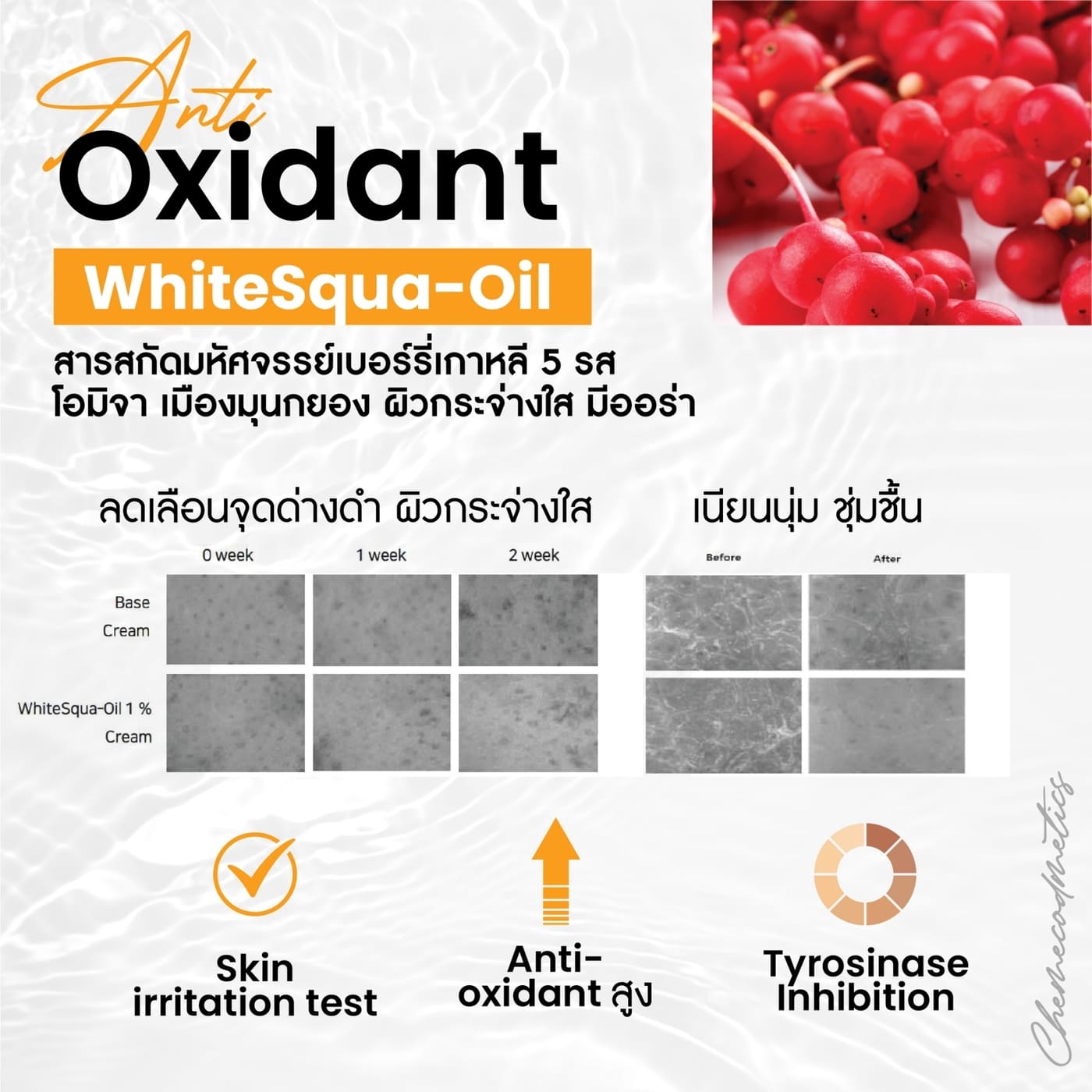 Anti Oxidant - WhiteSqua-Oil