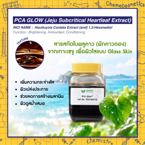 PCA Glow (Jeju Subcritical Heartleaf Extract) สารสกัดใบพลูคาว (ผักคาวตอง) จากเกาะเชจู เพื่อผิวใสแบบ Glass Skin เพิ่มความกระจ่างใส ผิวเปล่งประกาย ช่วยลดการสร้างเมลานิน ผิวดูสม่ำเสมอ
