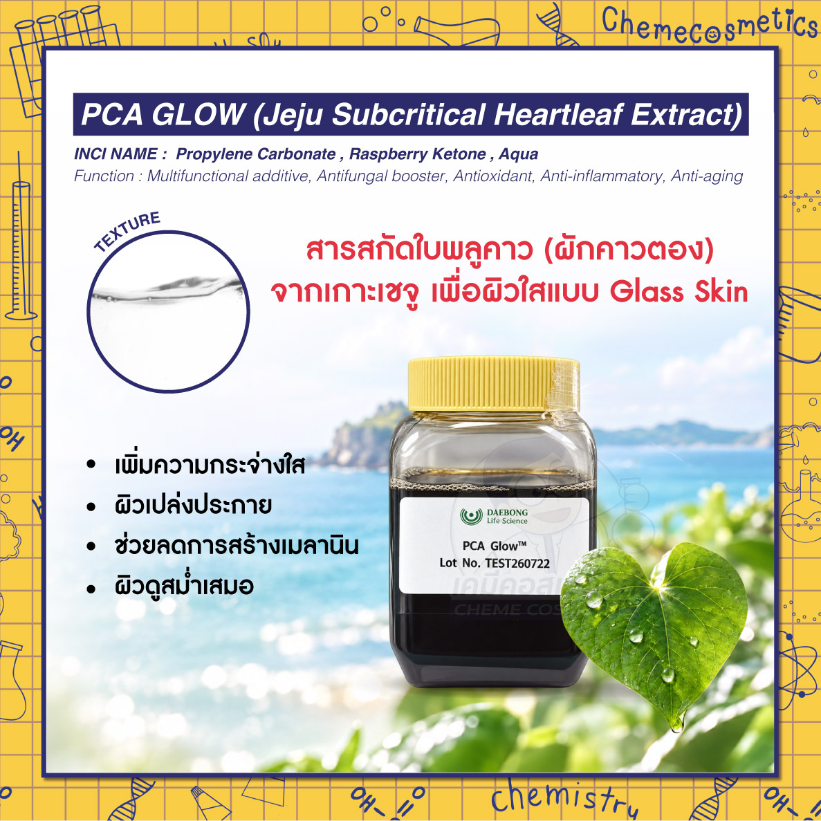 PCA Glow (Jeju Subcritical Heartleaf Extract) สารสกัดใบพลูคาว (ผักคาวตอง) จากเกาะเชจู เพื่อผิวใสแบบ Glass Skin เพิ่มความกระจ่างใส ผิวเปล่งประกาย ช่วยลดการสร้างเมลานิน ผิวดูสม่ำเสมอ