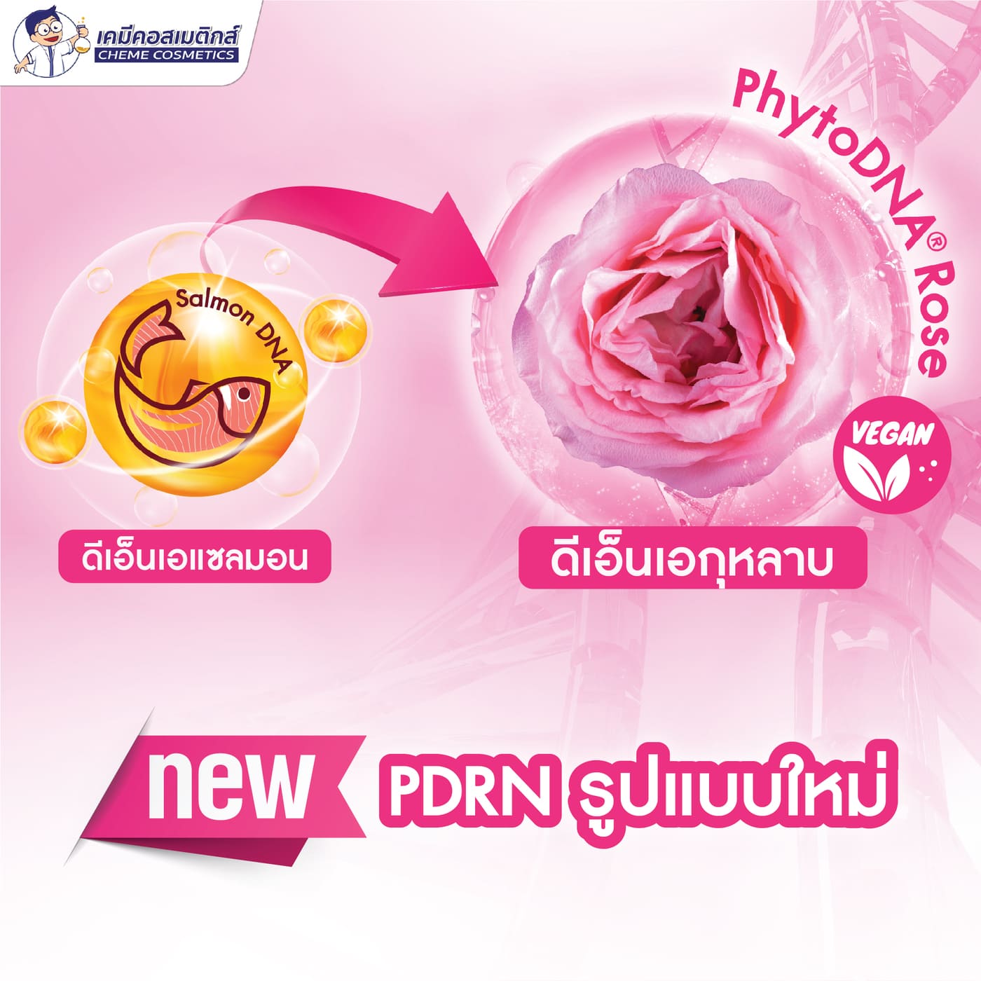 VEGAN PDRN กุหลาบ นวัตกรรมงานผิวจากเกาหลี
