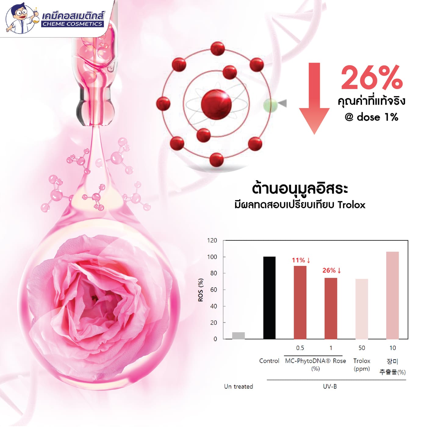 นวัตกรรมงานผิวกระจกจากเกาหลี PhytoDNA Rose