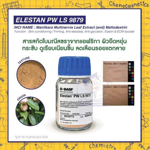 Elestan® PW LS 9879 (Manilkara Multinervis Leaf Extract) สารสกัดใบมณีลขราจากแอฟริกา ผิวยืดหยุ่น กระชับ ดูเรียบเนียนขึ้น ลดเลือนรอยแตกลาย เหมาะสำหรับครีมดูแลผิวหน้าท้องหลังคลอด