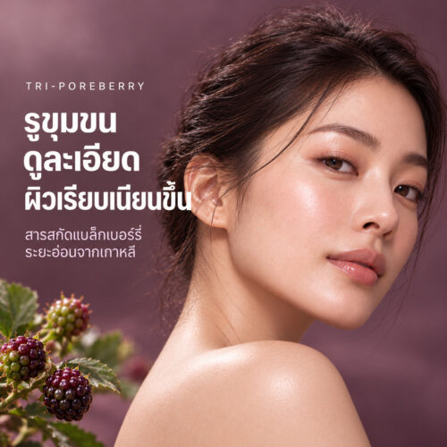 Alternative view of Tri-poreberry สารสกัดเบอร์รี่ดิบจากเกาหลี ดูแลรูขุมขน 3 ปัญหาในสารเดียว รูขุมขนดูกระชับ คุมมัน ผิวดูกระจ่างใส อุดม Ellagitannin จับโปรตีนผิว ช่วยให้รูขุมขนดูเล็กลง ใช้ได้ทั้งเซรั่มและโฟมล้างหน้า เห็นผลใน 1 สัปดาห์